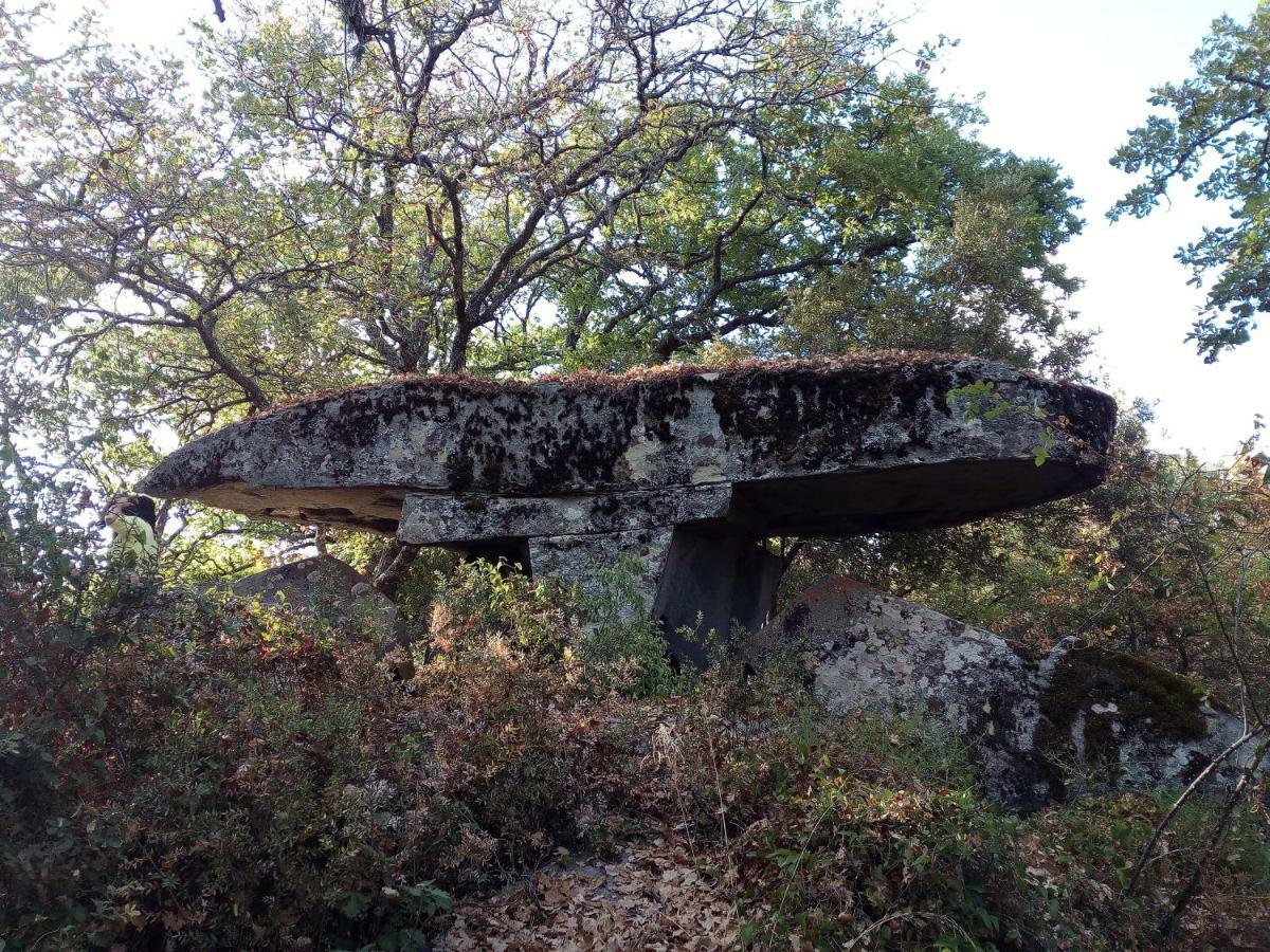 B&B I Menhir Sorgono Exterior photo